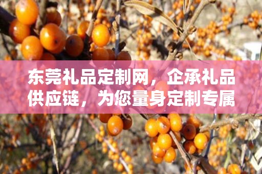 东莞礼品定制网，企承礼品供应链，为您量身定制专属礼品