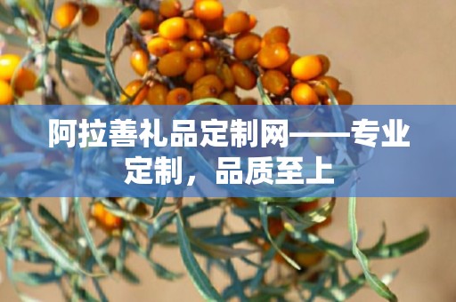 阿拉善礼品定制网——专业定制，品质至上