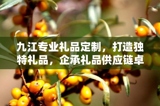 九江专业礼品定制，打造独特礼品，企承礼品供应链卓越服务