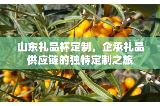 山东礼品杯定制，企承礼品供应链的独特定制之旅